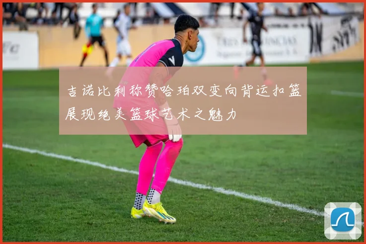 吉诺比利称赞哈珀双变向背运扣篮展现绝美篮球艺术之魅力