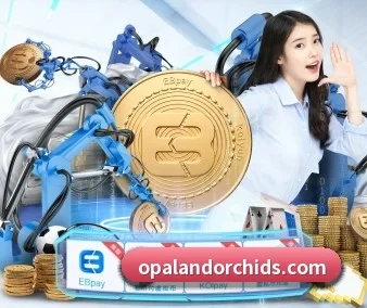 技术突破 - 通过国际安全认证,推出原生APP产品矩阵,平台内容持续丰富。